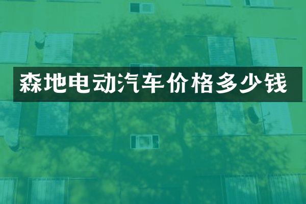 森地电动汽车价格多少钱