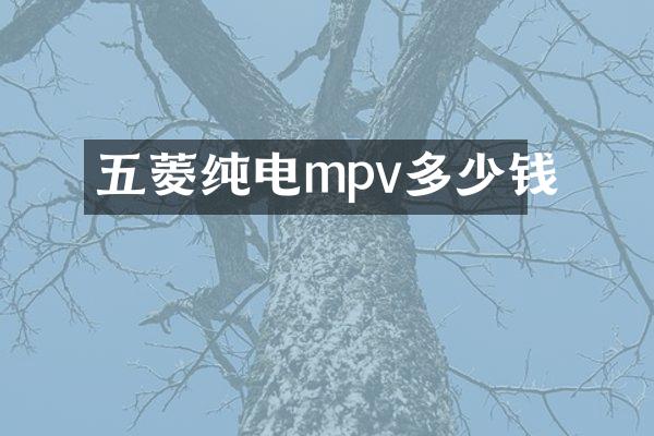 五菱纯电mpv多少钱