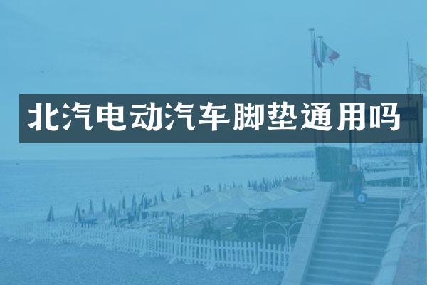 北汽电动汽车脚垫通用吗