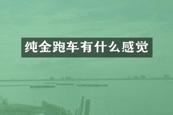 纯金跑车有什么感觉