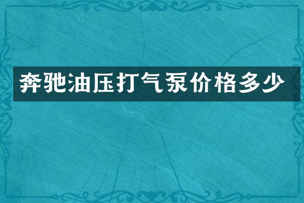 奔驰油压打气泵价格多少