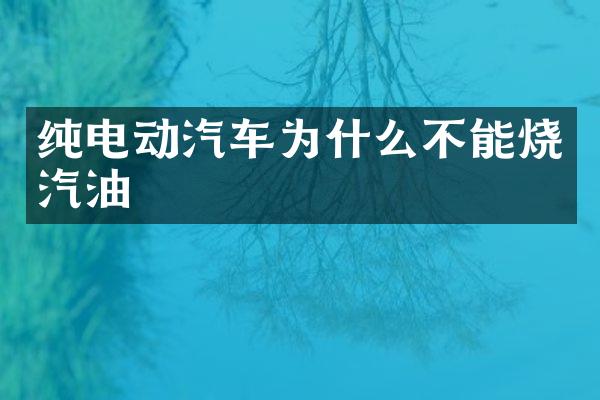纯电动汽车为什么不能烧汽油