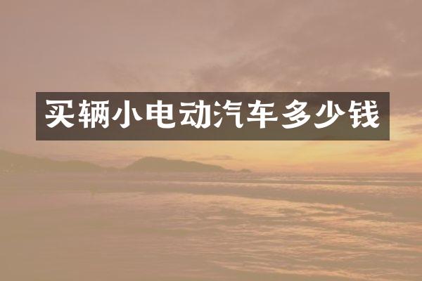 买辆小电动汽车多少钱