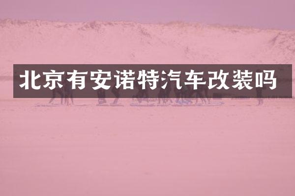 北京有安诺特汽车改装吗
