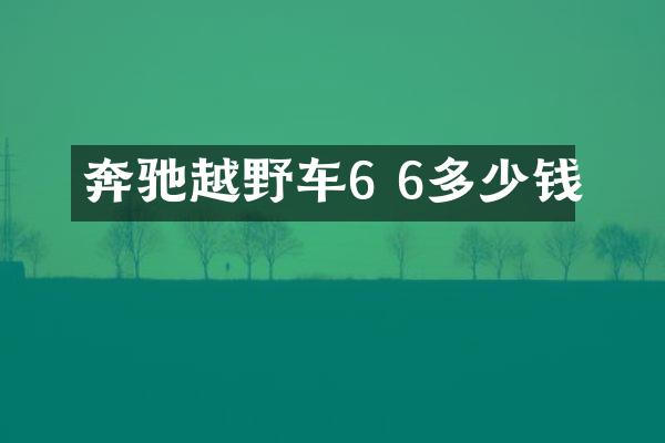 奔驰越野车6 6多少钱