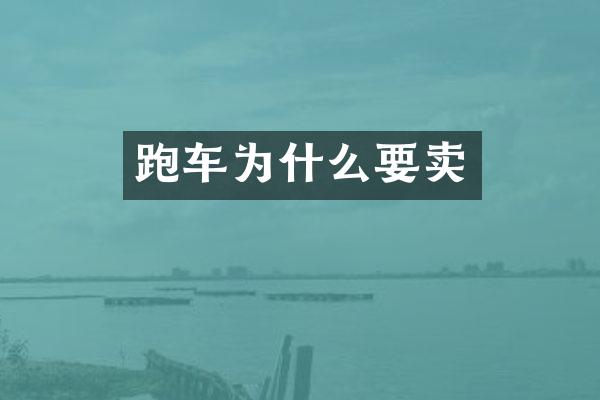 跑车为什么要卖