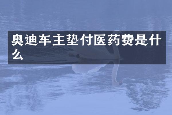 奥迪车主垫付医药费是什么