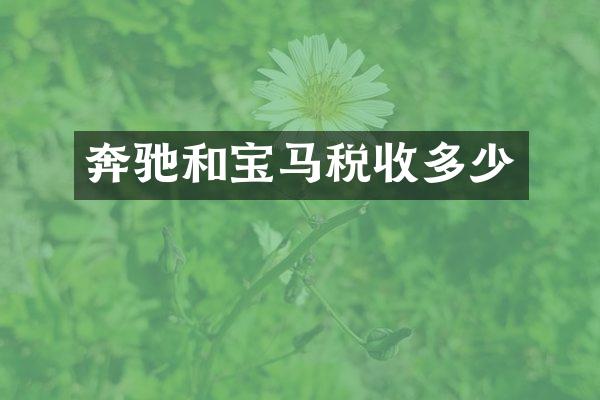 奔驰和宝马税收多少