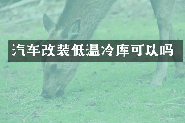 汽车改装低温冷库可以吗
