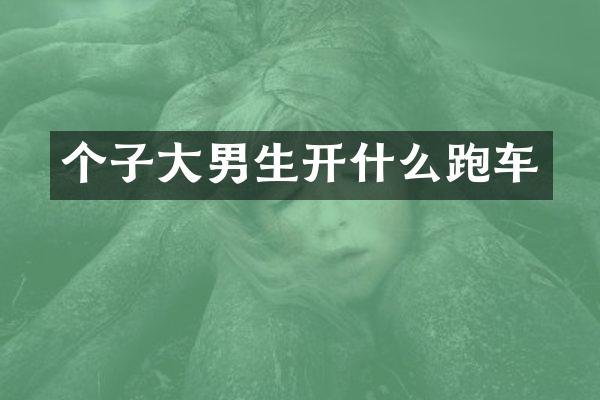 个子大男生开什么跑车