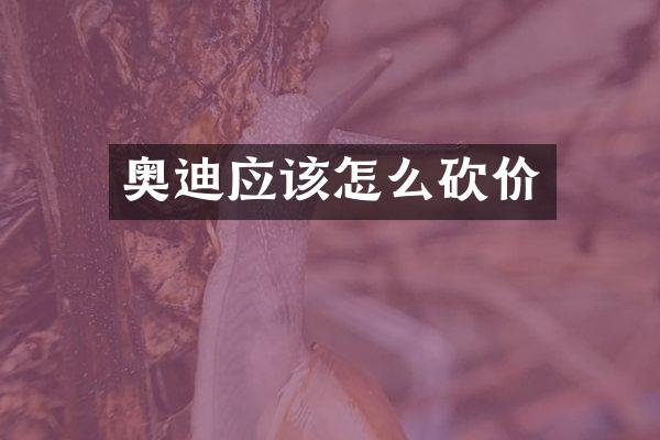 奥迪应该怎么砍价