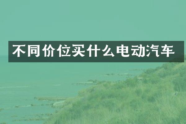 不同价位电动汽车