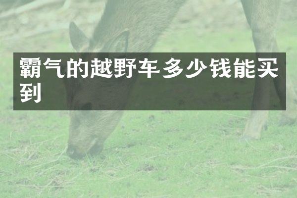 霸气的越野车多少钱能买到