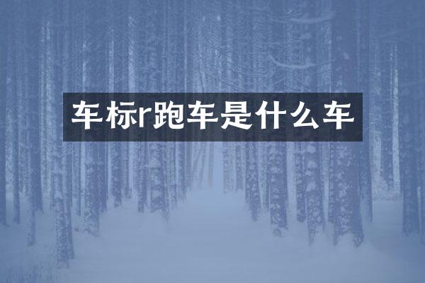 车标r跑车是什么车