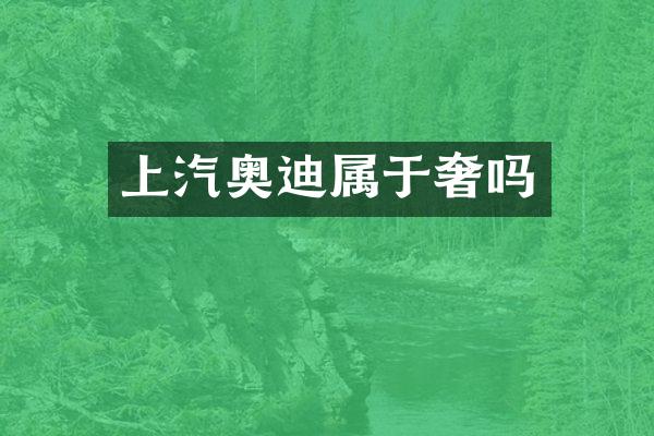 上汽奥迪属于奢吗