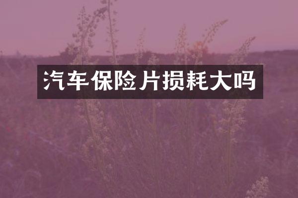 汽车保险片损耗大吗