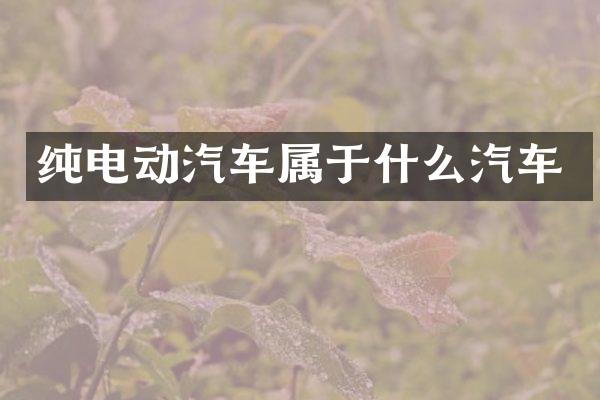纯电动汽车属于什么汽车