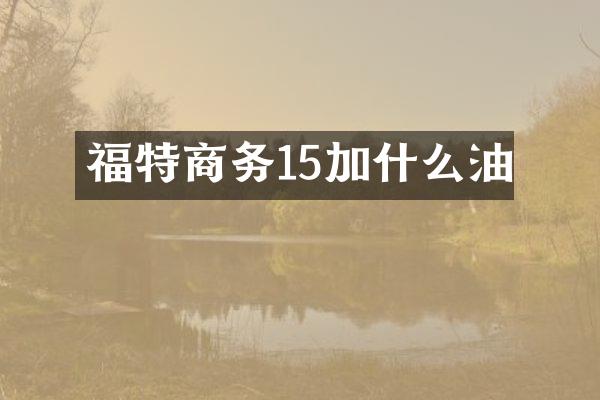 福特商务15加什么油