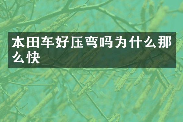 本田车好压弯吗为什么那么快