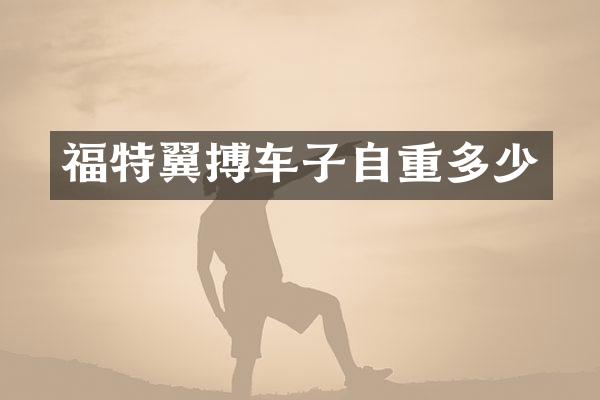 福特翼搏车子自重多少