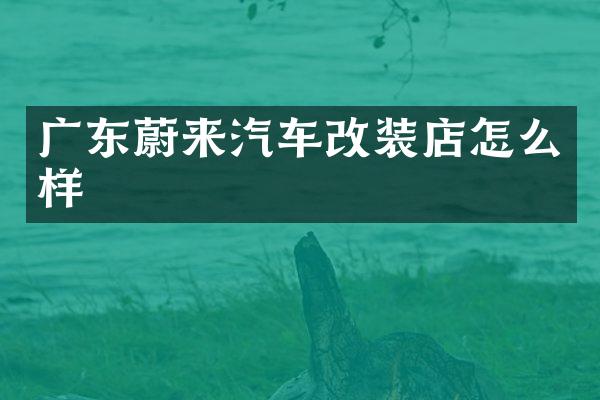 广东蔚来汽车改装店怎么样