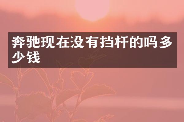 奔驰现在没有挡杆的吗多少钱