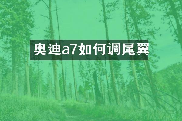 奥迪a7如何调尾翼