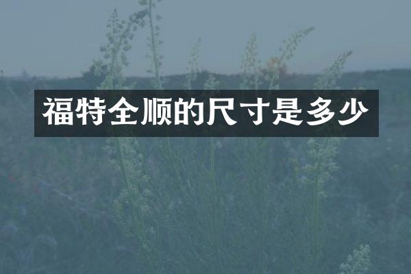 福特全顺的尺寸是多少