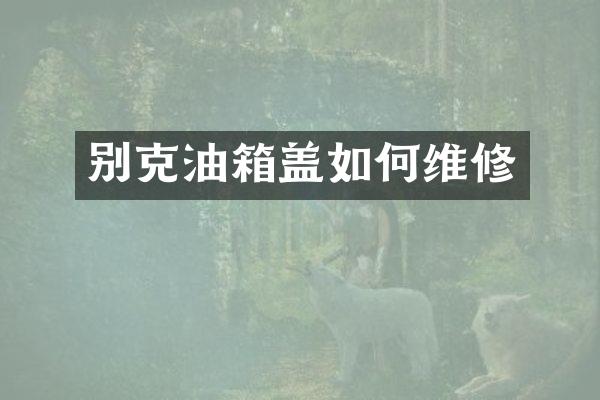 别克油箱盖如修