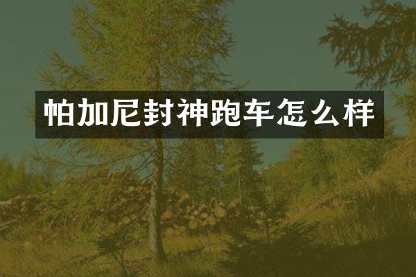 帕加尼封神跑车怎么样
