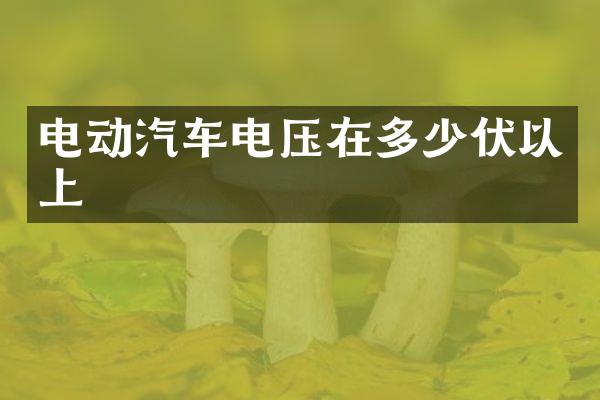 电动汽车电压在多少伏以上