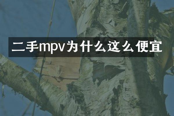 二手mpv为什么这么便宜