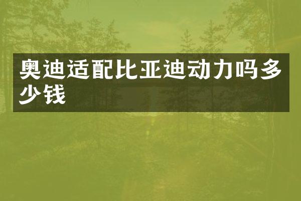 奥迪适配比亚迪动力吗多少钱