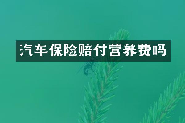汽车保险赔付营养费吗