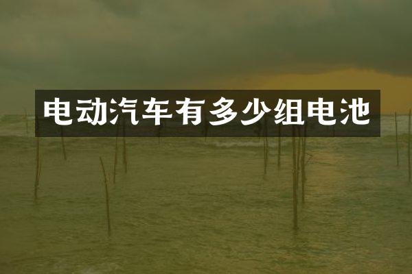 电动汽车有多少组电池