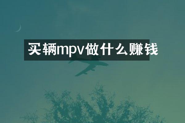 买辆mpv做什么赚钱