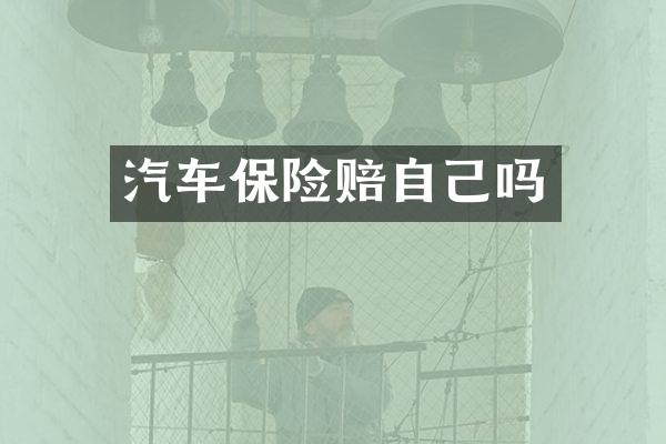 汽车保险赔自己吗