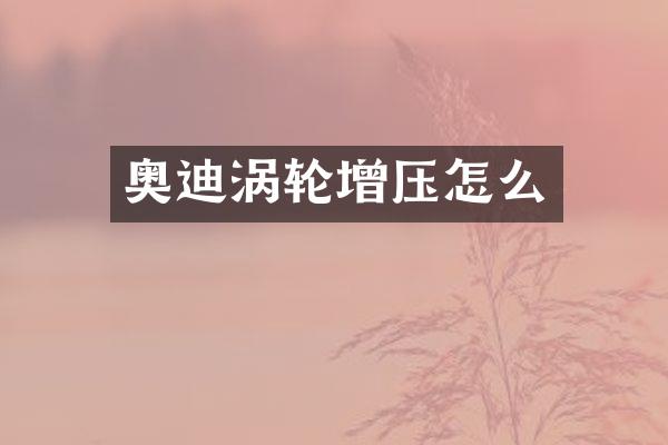 奥迪涡轮增压怎么