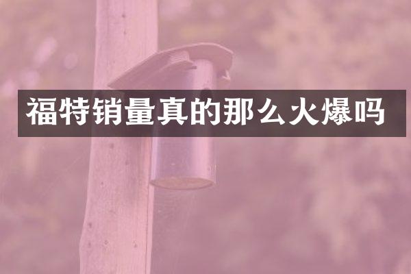 福特销量真的那么火爆吗