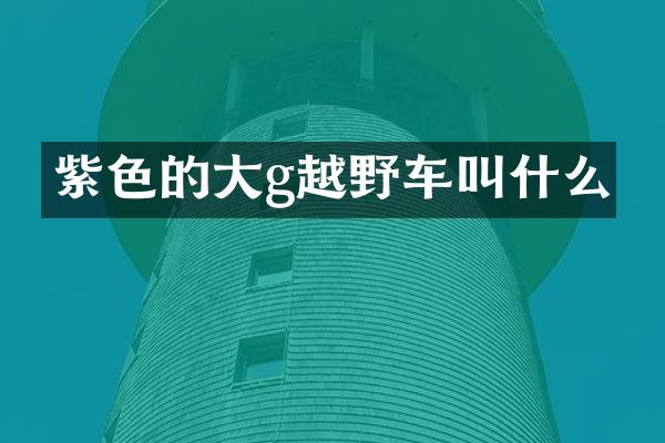 紫色的大g越野车叫什么