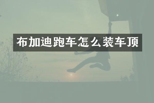 布加迪跑车怎么装车顶