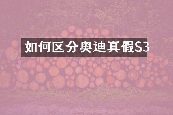 如何区分奥迪真假S3