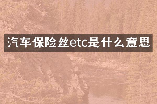汽车保险丝etc是什么意思