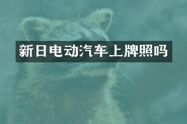 新日电动汽车上牌照吗