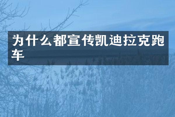 为什么都宣传凯迪拉克跑车