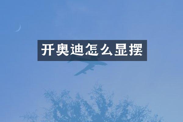 开奥迪怎么显摆