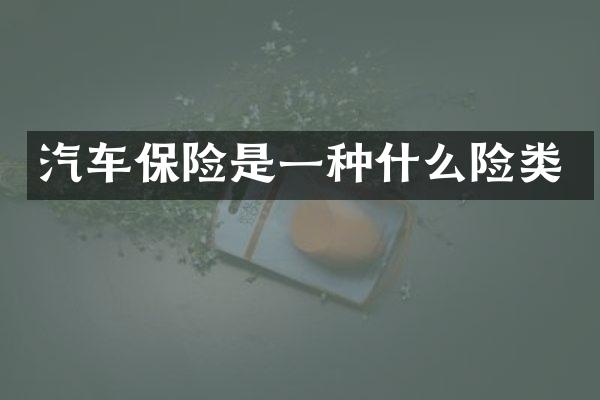汽车保险是一种什么险类