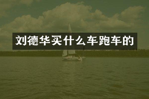 刘德华车跑车的