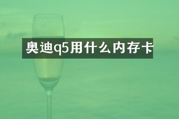奥迪q5用什么内存卡