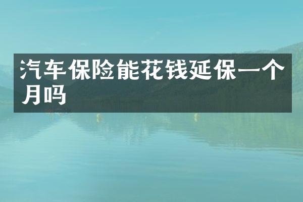 汽车保险能花钱延保一个月吗